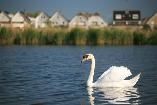 Volendam