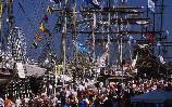 Holandsko Sail 2005