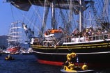 Holandsko Sail 2005