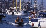 Holandsko Sail 2005
