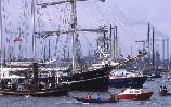 Holandsko Sail 2005